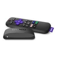 Preview: Roku Express Player