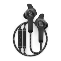 Preview: BeoPlay E6 Motion