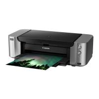 Preview: Canon PIXMA PRO-100