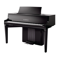 Preview: Kawai NV10