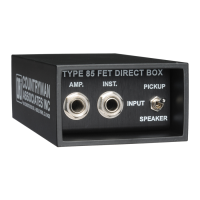 Preview: Countryman TYPE 85