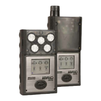 Preview: Industrial Scientific MX6