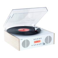 Preview: ION Digital LP