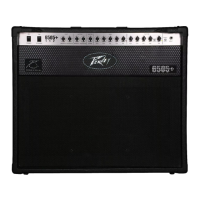 Preview: Peavey 6505 + 112