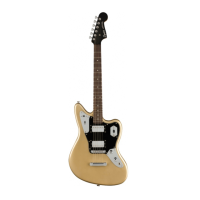 Preview: Fender SQUIER SERIES