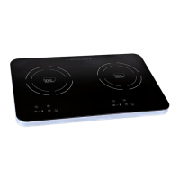 Preview: True Induction TI-2C