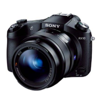 Preview: Sony DSC-RX10