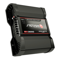 Preview: StetSom BLACK EDITION EX3000