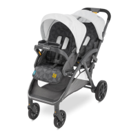 Preview: Century Stroll On Duo