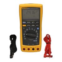 Preview: Fluke 87 IV Series