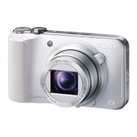Preview: Sony DSC-HX10