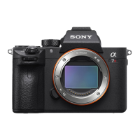 Preview: Sony a7 RIII