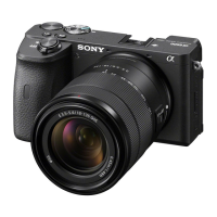Preview: Sony Alpha A6600