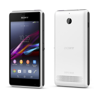 Preview: Sony D2105