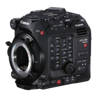 Preview: Canon CINEMA EOS C300