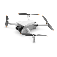 Preview: dji MINI 3 Series