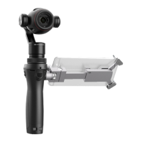 Preview: dji OSMO Plus