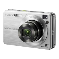 Preview: Sony DSC-W130