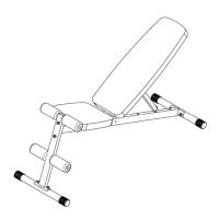 Preview: Impex MARCY SB-261