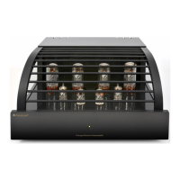 Preview: PrimaLuna ProLogue Premium