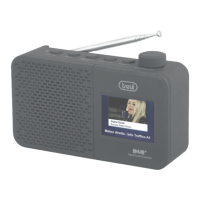 Preview: Trevi DAB 795R