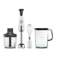 Preview: Sunbeam StickMaster SM9000