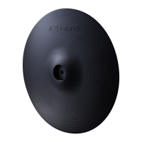 Preview: Roland CY-13 R