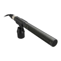 Preview: RODE Microphones NTG1