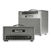 Preview: Bad Cat Jet Black