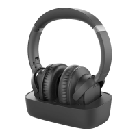 Preview: Avantree Ensemble