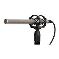 Preview: RODE Microphones NTG3