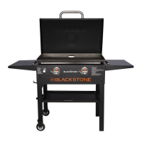 Preview: Black Stone 1883