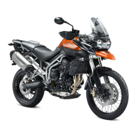 Preview: Triumph Tiger 800
