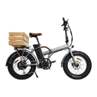 Preview: RAWBIKE 4 X