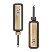 Preview: Positive Grid Spark LINK