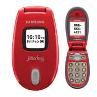 Preview: GreatCall Jitterbug