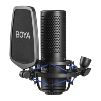 Preview: Boya BY-M1000 Pro