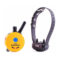 Preview: E-Collar Technologies 300