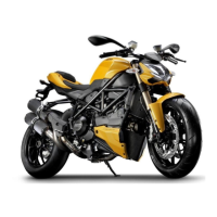 Preview: Ducati STREETFIGHTER 848