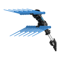 Preview: CAMPAGNOLA Alice