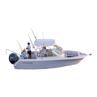 Preview: Sailfish 245 DC