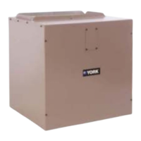 Preview: York MV Series