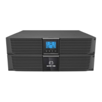 Preview: Mustek 1000