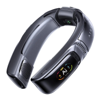 Preview: RANVOO AICE