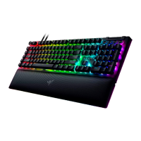 Preview: Razer BLACKWIDOW V4 PRO