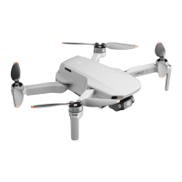 Preview: dji MINI 2 SE