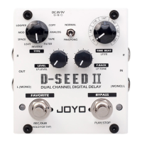 Preview: Joyo D-SEED II