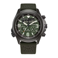 Preview: Citizen Promaster Land