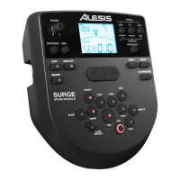 Preview: Alesis SURGE