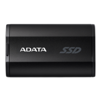 Preview: Adata SD810